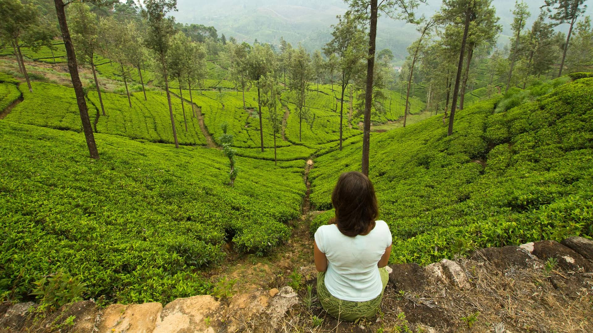 Assam-Tea-&-Wildlife-Trail