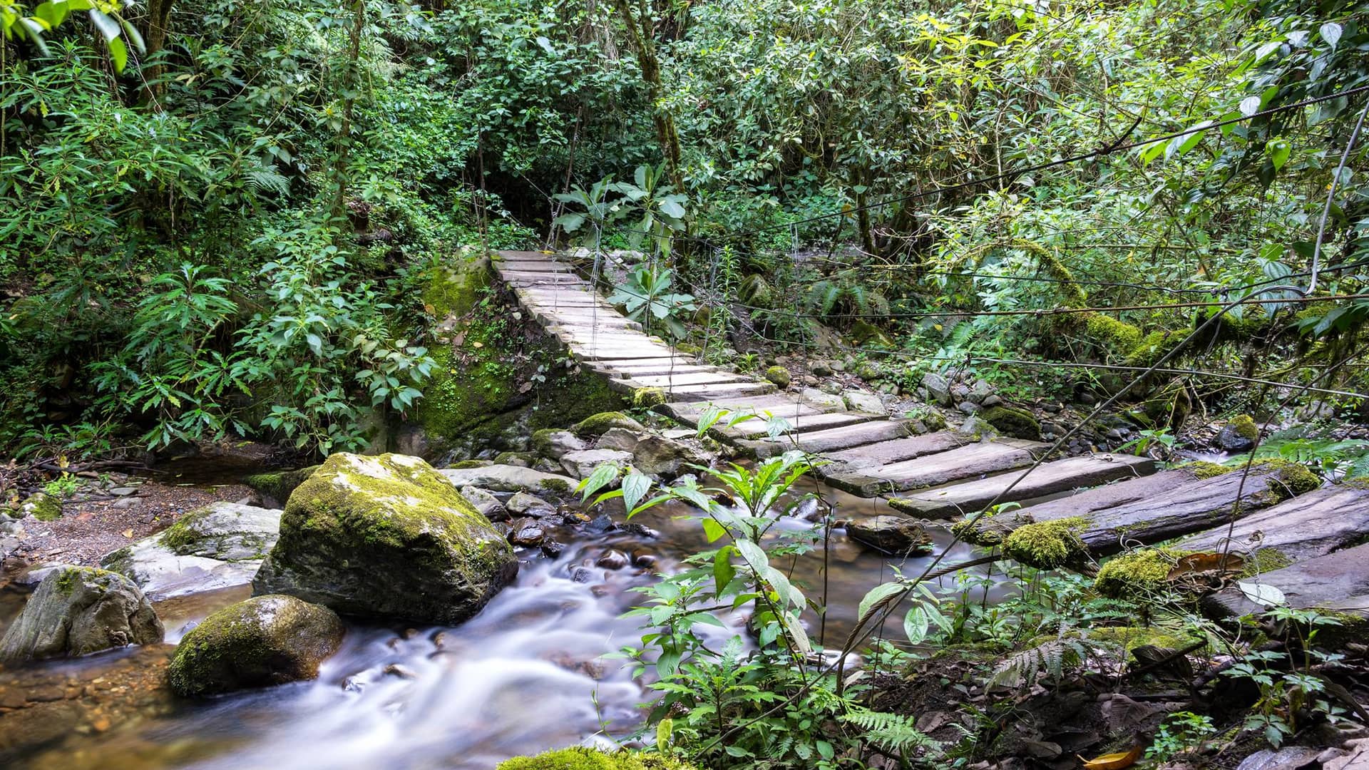 Meghalaya-Nature-Trail