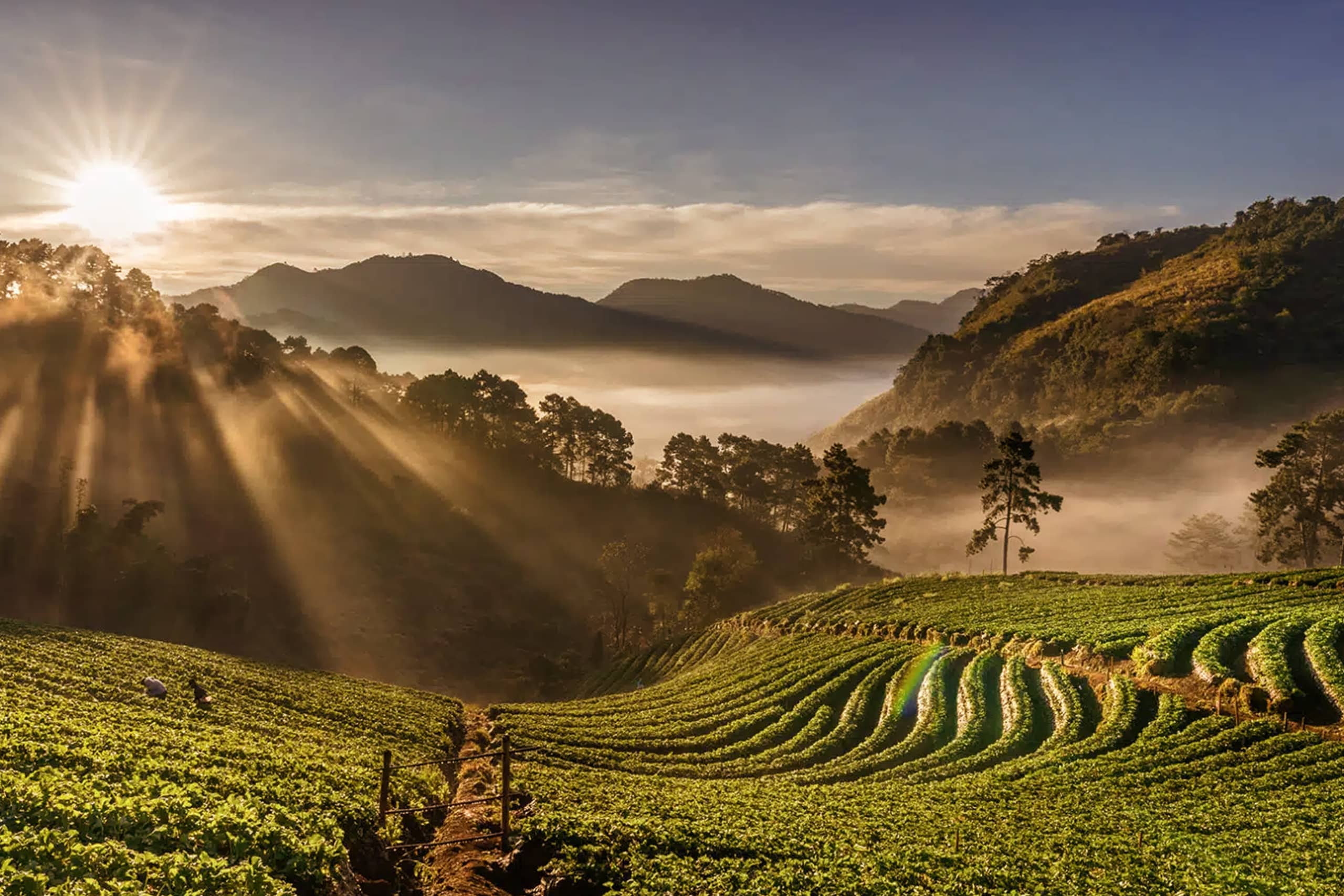 Tour-Cards_Hillstation